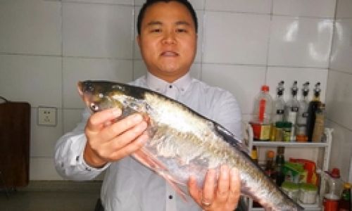Mastering the Art of Cooking Bighead Carp:Delicious and Tender Recipes to Savor