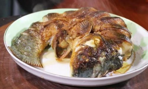Mastering the Art of Cooking Bighead Carp:Delicious and Tender Recipes to Savor