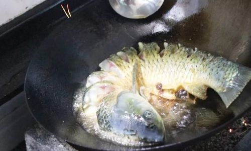 Mastering the Art of Cooking Bighead Carp:Delicious and Tender Recipes to Savor