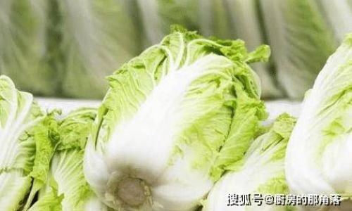 Mastering the Art of Cooking Chinese Cabbage:Elevating a Humble Vegetable to Culinary Excellence