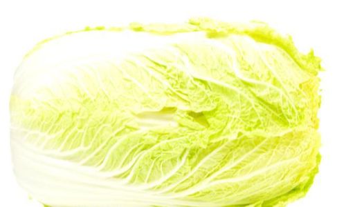 Mastering the Art of Cooking Chinese Cabbage:Delicious and Simple Recipes for Every Kitchen