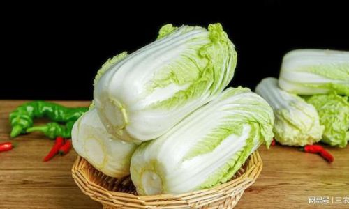 Mastering the Art of Cooking Chinese Cabbage:Delicious and Simple Recipes for Every Kitchen