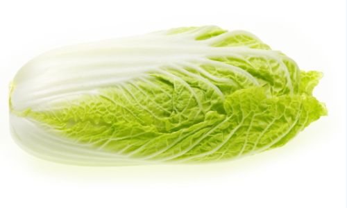 Mastering the Art of Cooking Chinese Cabbage:Delicious and Simple Recipes for Every Kitchen