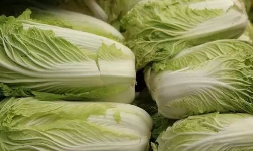The Versatile Delight:Exploring the Myriad Ways to Enjoy Chinese Cabbage