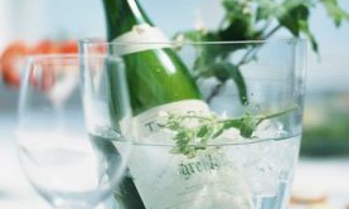 Understanding the Enemy:Why Champagne Loses Its Sparkle