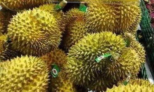 The Shelf Life of Opened Durian at Room Temperature:A Comprehensive Guide