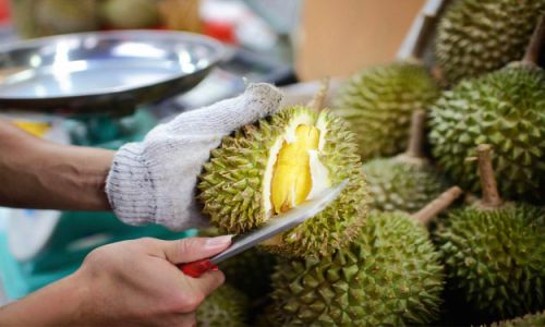 The Shelf Life of Opened Durian at Room Temperature:A Comprehensive Guide