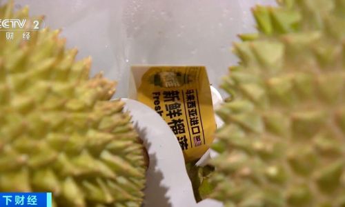 The Shelf Life of Opened Durian at Room Temperature:A Comprehensive Guide