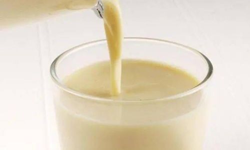 The Optimal Soaking Time for Beans:Enhancing Flavor and Nutrition in Homemade Soy Milk