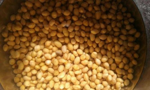 The Optimal Soaking Time for Beans:Enhancing Flavor and Nutrition in Homemade Soy Milk