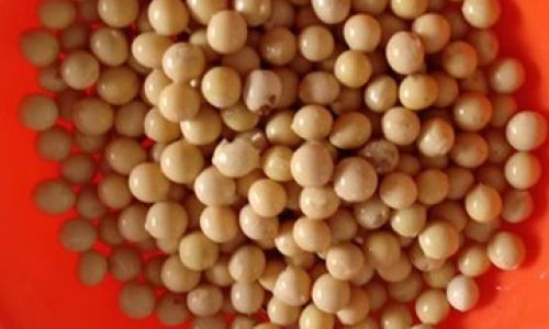 The Optimal Soaking Time for Beans When Making Soy Milk:A Comprehensive Guide