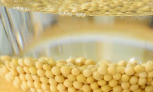 The Optimal Soaking Time for Beans When Making Soy Milk:A Comprehensive Guide