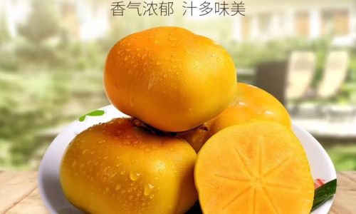 The Art of Crafting Crispy Persimmons:A Comprehensive Guide to Traditional and Modern Techniques