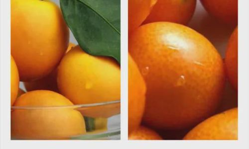 A Comprehensive Guide to Enjoying Crispy-Skinned Kumquats:From Selection to Creative Recipes