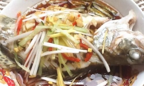 Mastering the Art of Crafting Delicious Salmon Fillets