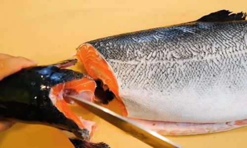 The Distinct Differences Between Raw and Cooked Salmon Consumption