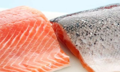 Can Salmon Be Cooked?How to Enjoy It to the Fullest