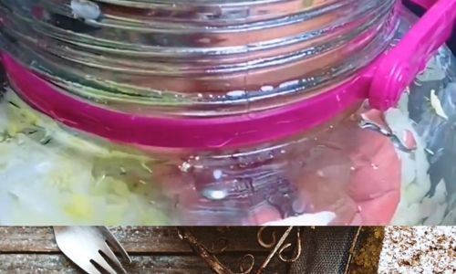 How to Quickly Make Pickled Sauerkraut in Three Days