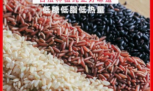 Mastering the Art of Cooking Tri-Color Brown Rice
