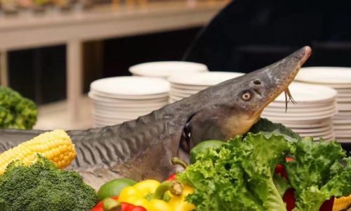 Mastering the Culinary Art of Three-Spear Fish:Techniques for a Delightful Dish