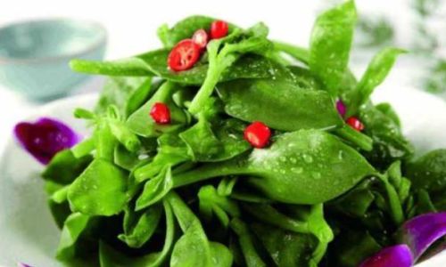 Exploring the Culinary Delights of Notoginseng Leaves:How to Enjoy Sanqi Leaves