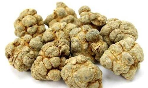 Can You Still Consume Sanqi Powder After a Year of Storage?