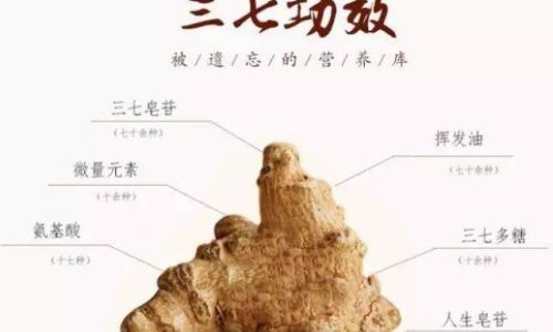 Can You Still Consume Sanqi Powder After a Year of Storage?