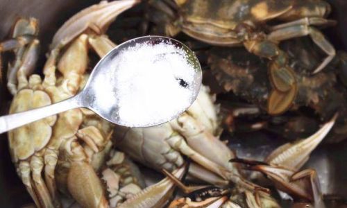 Can Sanmen Green Crabs Be Stored in the Refrigerator?An In-Depth Exploration