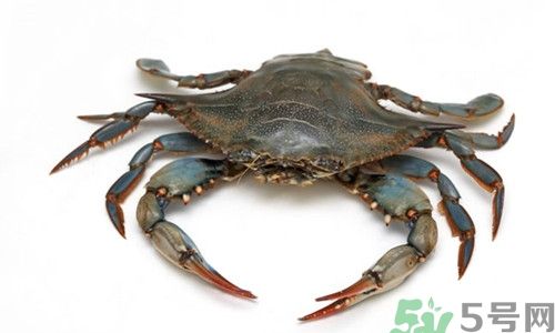 Can Sanmen Green Crabs Be Stored in the Refrigerator?An In-Depth Guide
