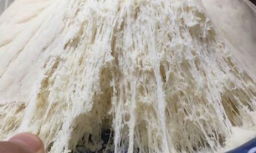 Can Flour Be Stored in the Refrigerator During the Dog Days of Summer?