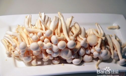 How to Cook Tri-Colored Jade Mushrooms:A Culinary Delight