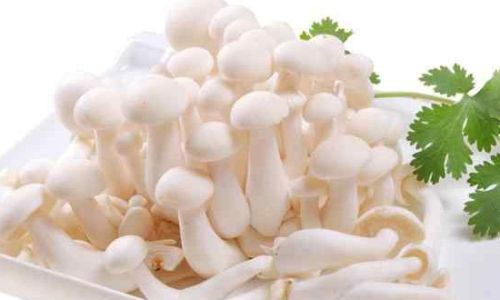 How to Cook Tri-Colored Jade Mushrooms:A Culinary Delight