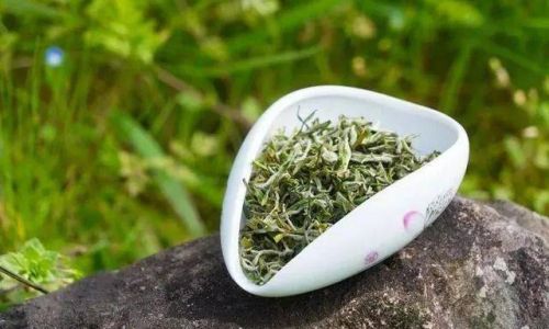 Unraveling the Mystery of Sanbei Xiang:What Makes This Tea So Unique?