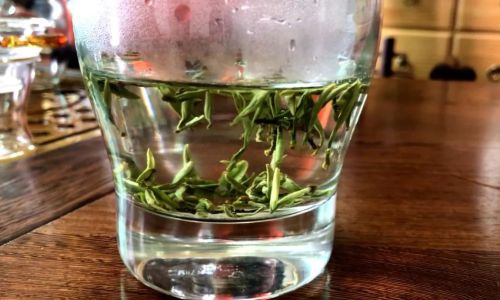 Unraveling the Mystery of Sanbei Xiang:What Makes This Tea So Unique?