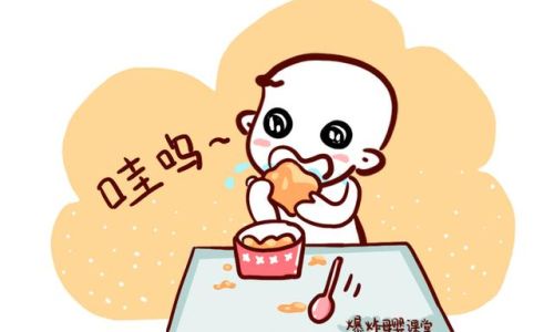 The Best Types of Chicken Meat for Infants:A Comprehensive Guide