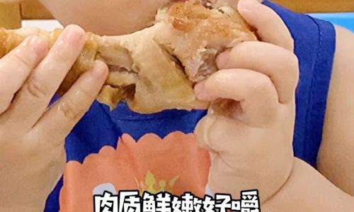 The Best Types of Chicken Meat for Infants:A Comprehensive Guide