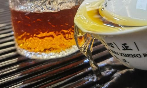 Unraveling the Enigma of Yinghong No.9:What Kind of Tea Is It?