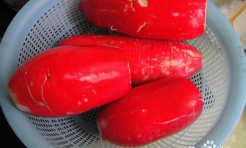 How to Pickle Daikon Radishes for a Delicious and Crispy Treat
