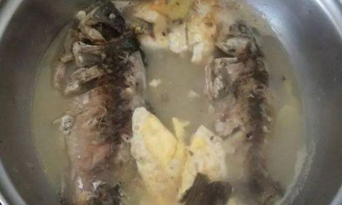 Mastering the Art of Making Delicious Silver Fish Soup