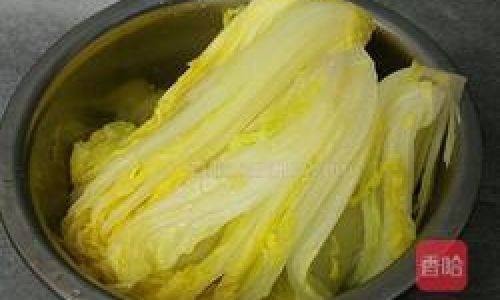 Mastering the Art of Cooking Delicious Silver Hair Vegetables