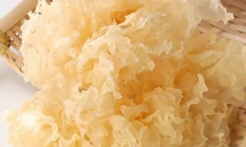 Can You Eat Tremella Fuciformis After Boiling for Just 15 Minutes?
