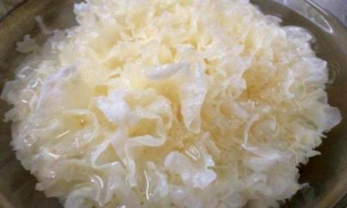The Optimal Way to Soak and Prepare Tremella Mushrooms