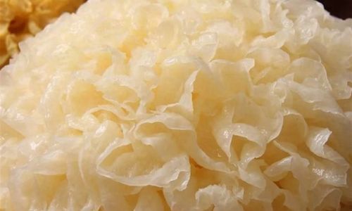 The Optimal Soaking Time for White Fungus:A Comprehensive Guide