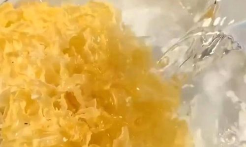 The Optimal Soaking Time for White Fungus:A Comprehensive Guide