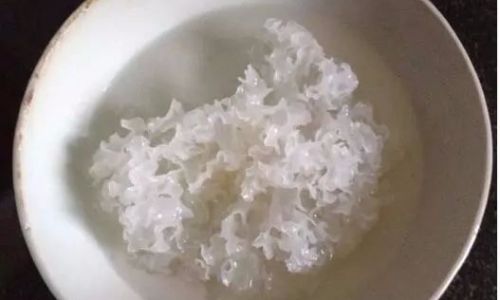 Mastering the Art of Cooking Tremella Fuciformis White Fungus)to Perfection