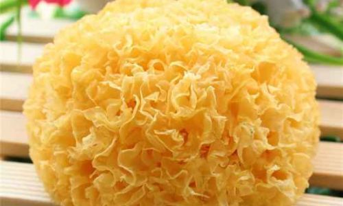 How Long Can Soaked White Fungus Be Stored?A Comprehensive Guide