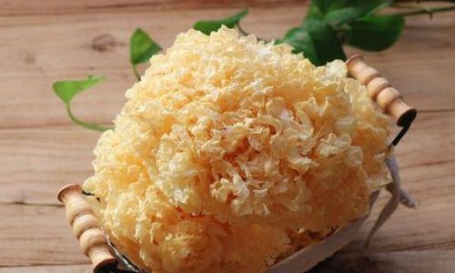 How Long Can Soaked White Fungus Be Stored?A Comprehensive Guide