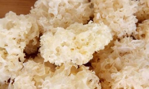 The Optimal Soaking Time for White Fungus:A Comprehensive Guide