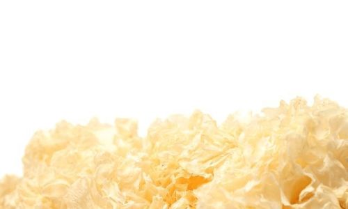 How Long Can White Fungus Remain Fresh Without Spoilage?