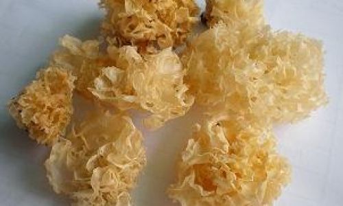 Sharing Methods to Distinguish High-Quality from Low-Quality Tremella Fuciformis